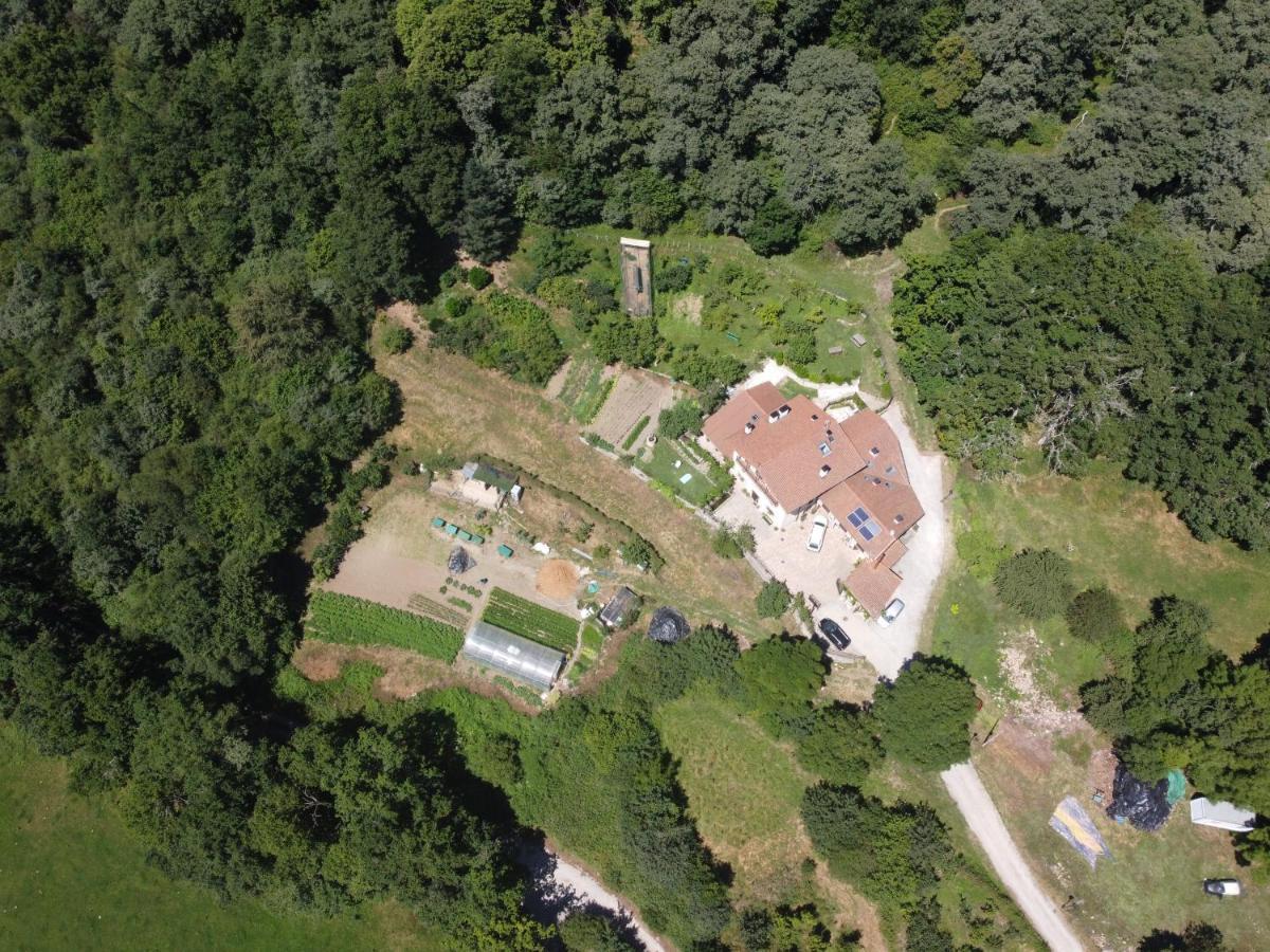 Apartamentos Rurales Casa Lafuente Luquiano 外观 照片